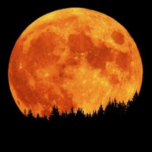 Super Moon coming up this weekend! 