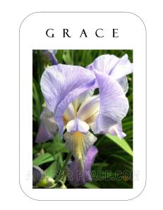 Card of the Week Grace