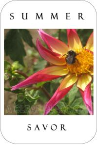 card of the week Summer