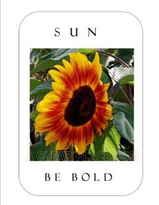 SUN Card